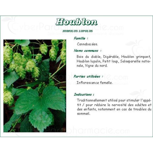 HOUBLON IPHYM, Houblon demi vert, vrac. - sac 50 g