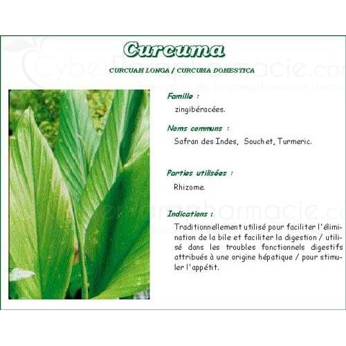 CURCUMA IPHYM, Turmeric Rhizome, bulk. chopped - 250 g bag