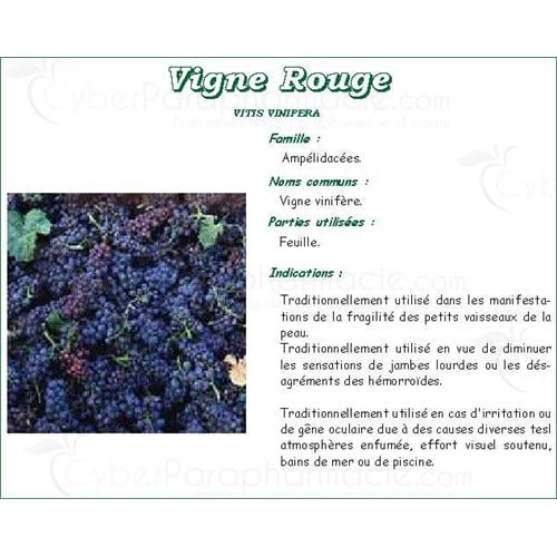 RED VINE IPHYM, red vine leaf, bulk. - 250 g bag