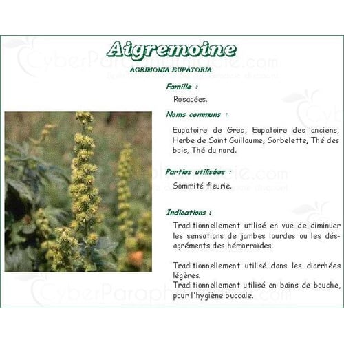 AGRIMONY VITAFLOR, Flowering top of agrimony, bulk. - Bt 100 g