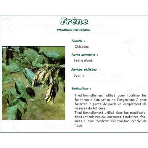 ASH LEAF VITAFLOR Leaf Ash bulk. - Bt 50 g