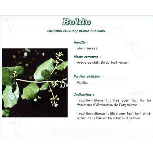 BOLDO CHILE VITAFLOR, Boldo Leaf Chile bulk. - Bt 70 g
