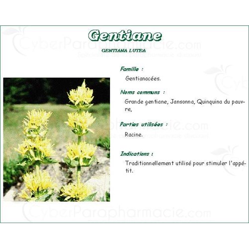 GENTIANE VITAFLOR, Gentian root, bulk. - Bt 100 g