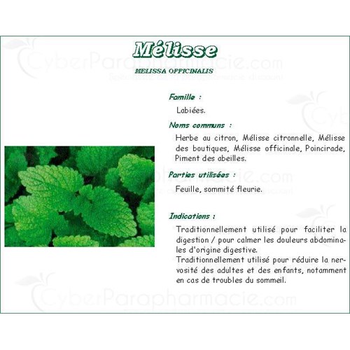 MELISSA SHEET VITAFLOR, lemon balm leaf, bulk. - Bt 25 g