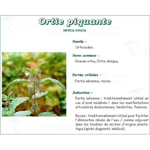 Nettle SHEET VITAFLOR, spicy nettle leaf, bulk. - Bt 70 g