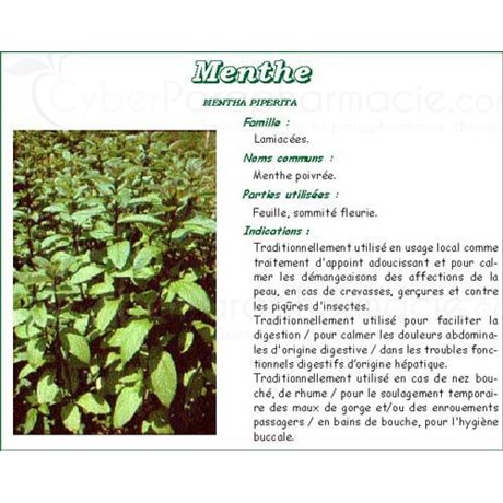 PEPPERMINT VITAFLOR, Peppermint Leaf, bulk. - Bt 50 g
