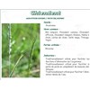 QUACKGRASS VITAFLOR Racine wheatgrass, bulk. - Bt 70 g
