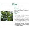 WALNUT PHARMA PLANTS Leaf walnut bulk. cut - 250 g bag