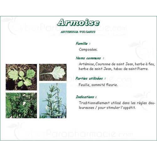 ARMOISE VITAFLOR, Armoise plante, vrac. - bt 50 g