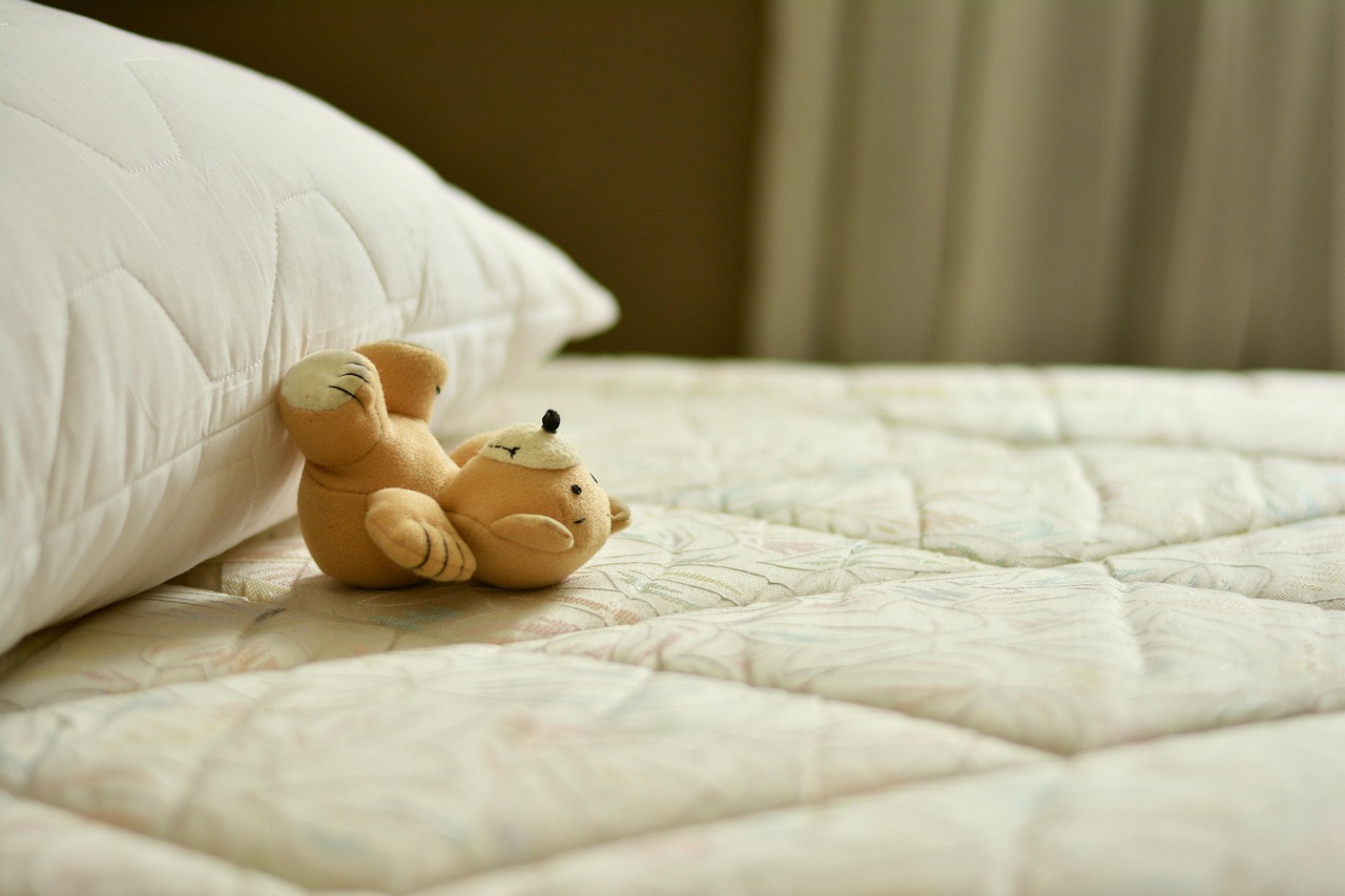 découvrez les plantes efficaces pour lutter contre les troubles du sommeil et améliorer la qualité de vos nuits naturellement.