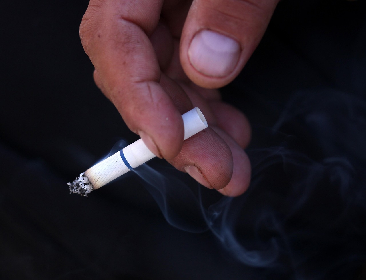 découvrez la liste des ingrédients nocifs couramment présents dans les produits de consommation, leurs effets sur la santé, et comment les éviter au quotidien.
