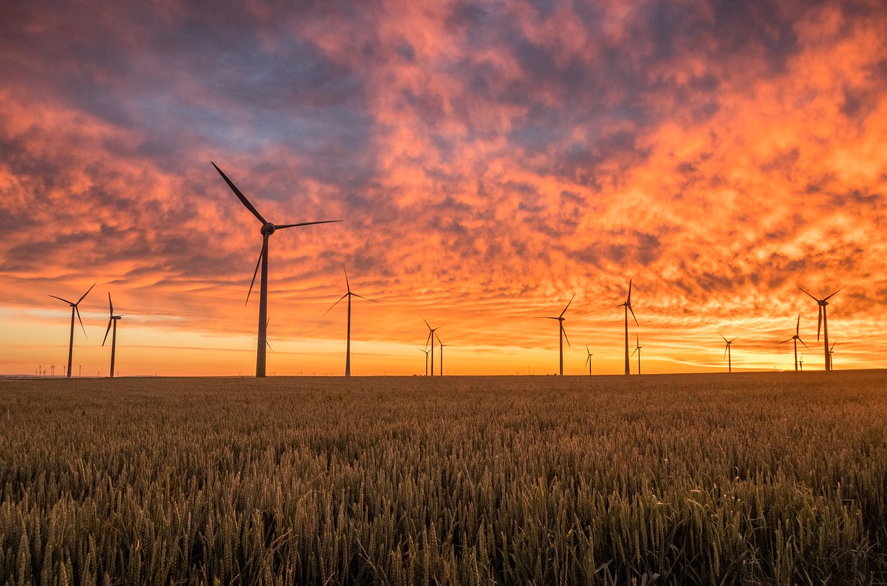 Quels aliments privilégier pour avoir plus d’énergie ?