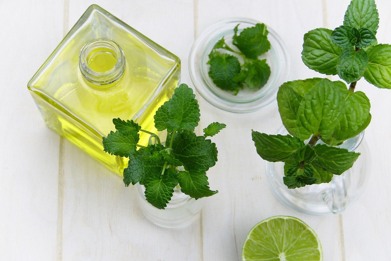 Quelles plantes sont efficaces pour soulager les maux du quotidien ?