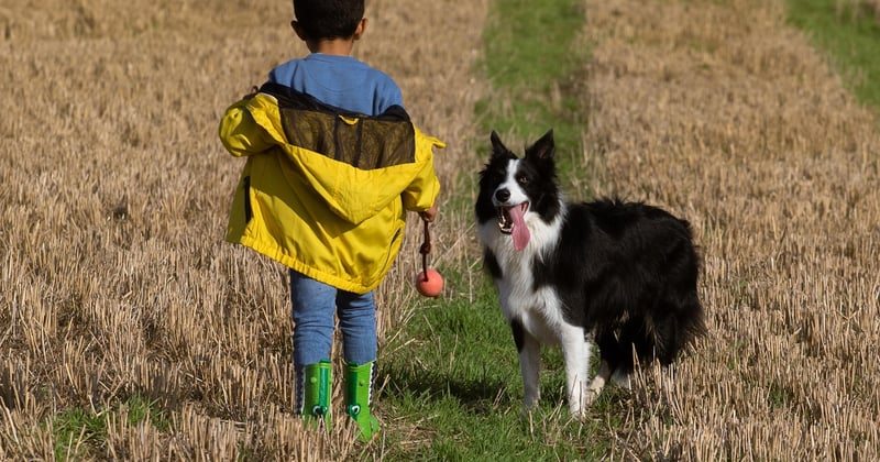 Adopter un chien pour un enfant : à quel âge et quelle race choisir ?