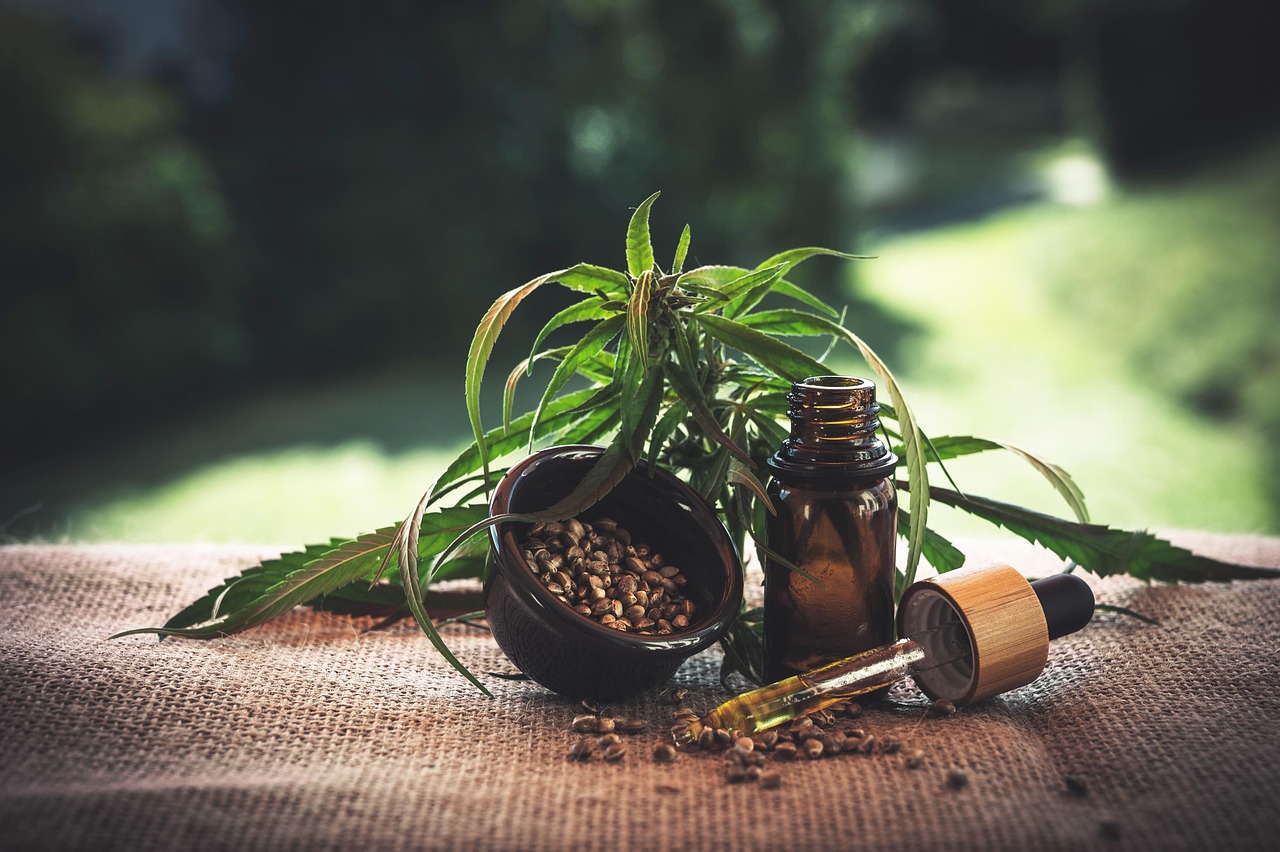 découvrez les meilleurs remèdes à base de plantes pour prendre soin de votre santé naturellement. astuces, conseils et préparations maison pour un bien-être au quotidien grâce aux vertus des plantes.