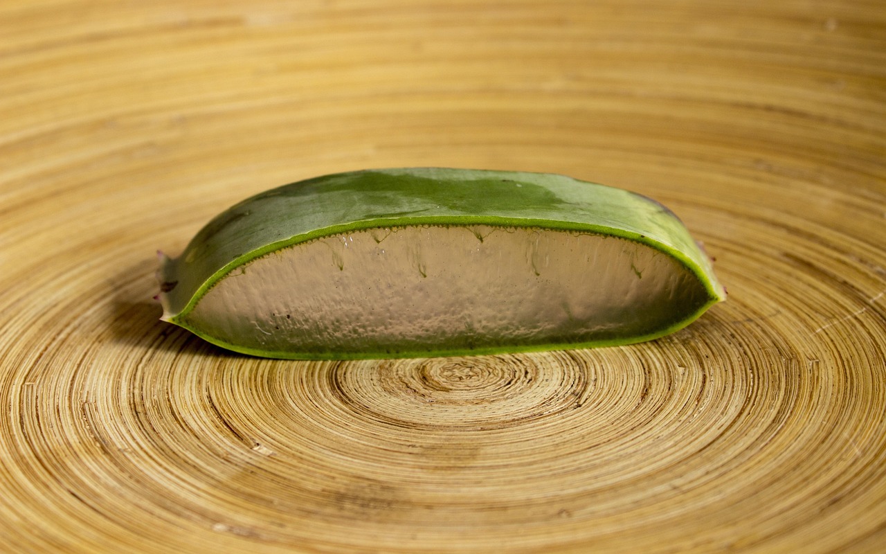 découvrez les bienfaits des remèdes à base de plantes : conseils, recettes et astuces pour soigner naturellement de nombreux maux et améliorer votre bien-être au quotidien.